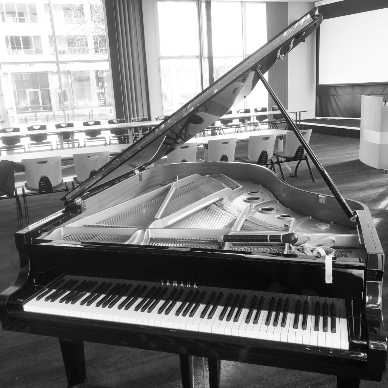 BB9E3117-D483-4FB5-974C-ECF4F1CD3E67 Place au Piano - Achat, vente et location de pianos à Mouscron