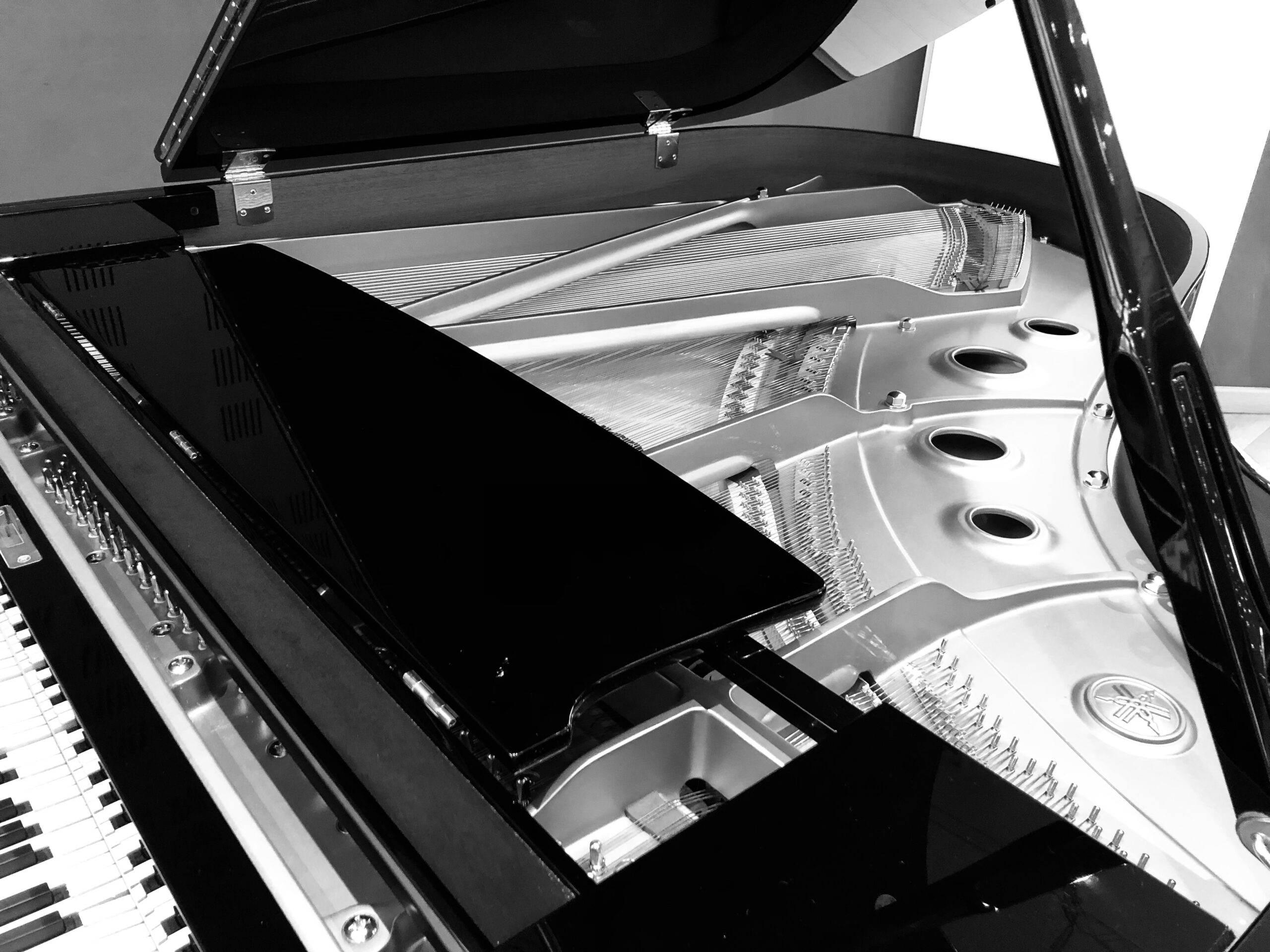 Place au Piano - Achat, vente et location de pianos à Mouscron - Piano noir et blanc